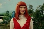 Coca Cola - Lost bird